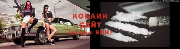 сатива Зеленокумск
