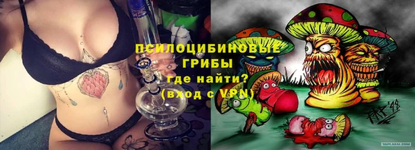 apvp Абаза