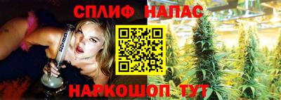 стафф Малоярославец