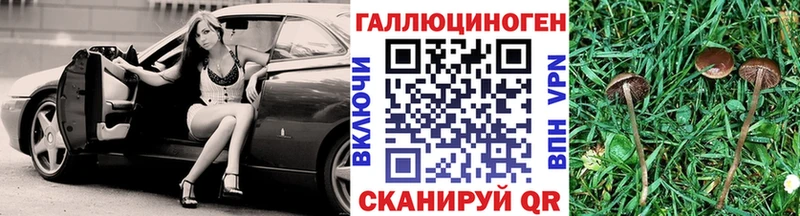 Псилоцибиновые грибы Psilocybine cubensis  Кимовск 