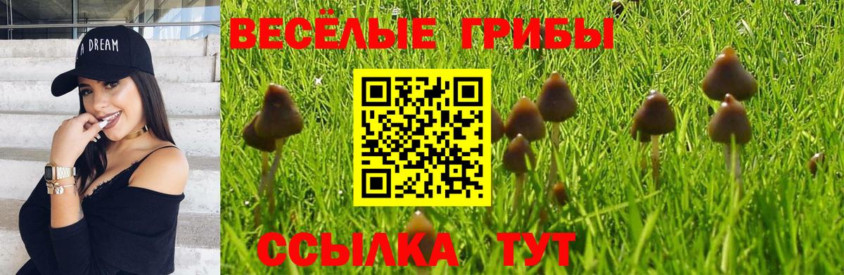 Галлюциногенные грибы прущие грибы Кимовск