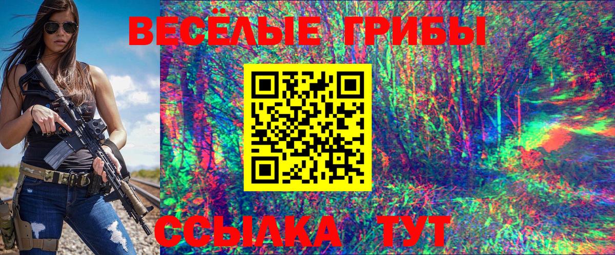 Кимовск  Псилоцибиновые грибы прущие грибы  Вход с VPN 